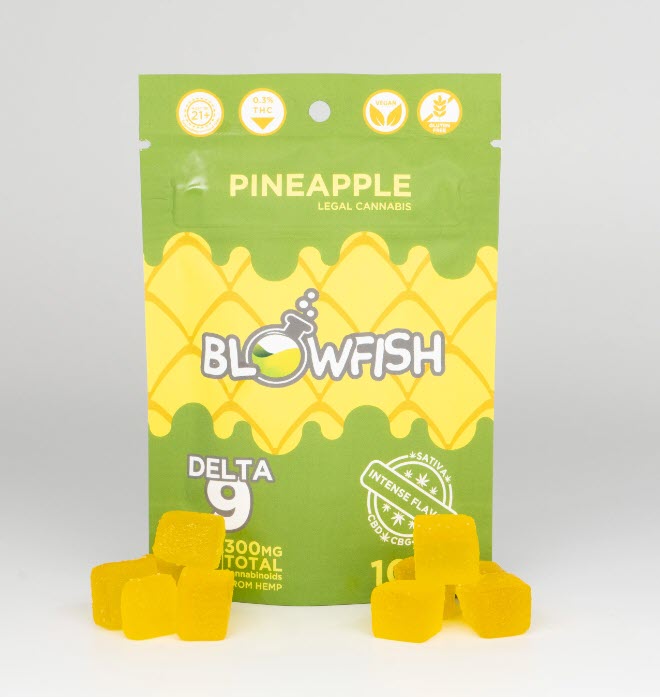 Sativa Gummies x 10 Packs